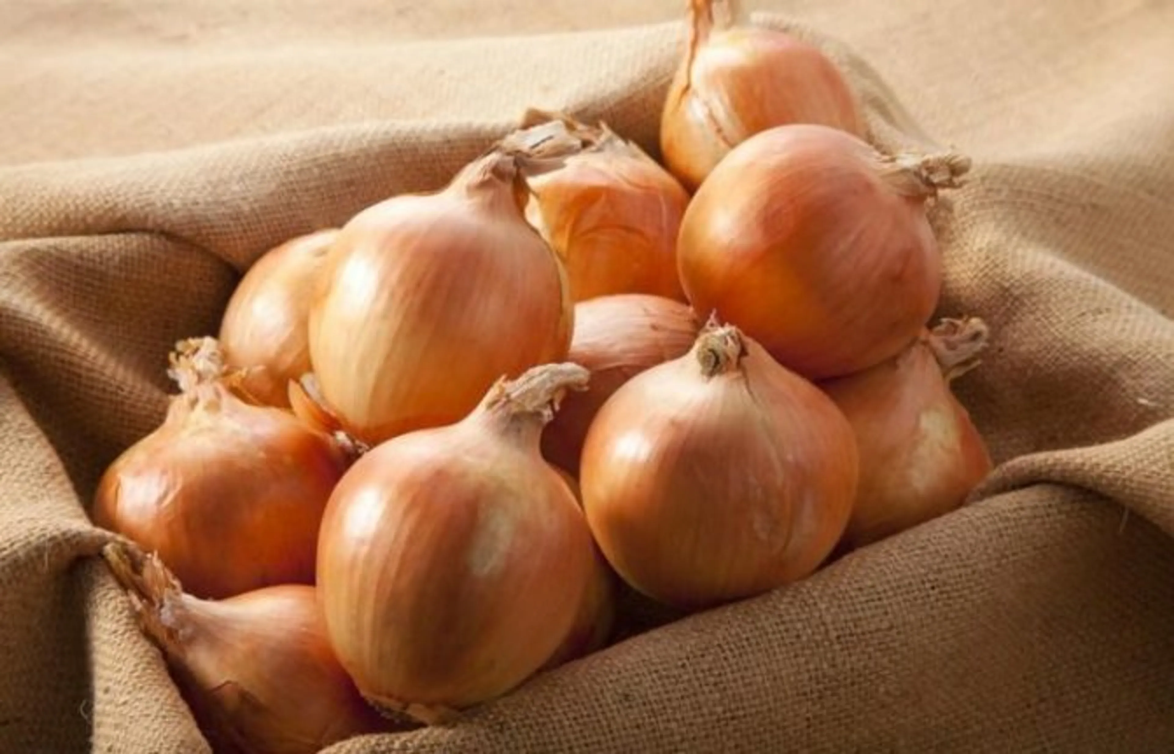 Все для фермеров