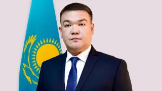 Писка фотодағы семіз мүше