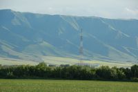 Фото: Руслан Пряников