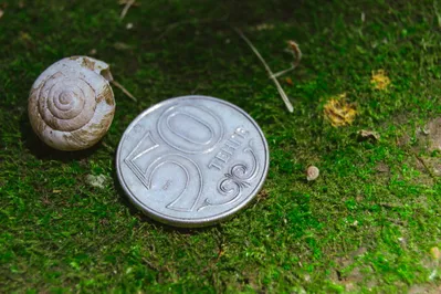 Курс на бирже: 381,89 тенге за доллар