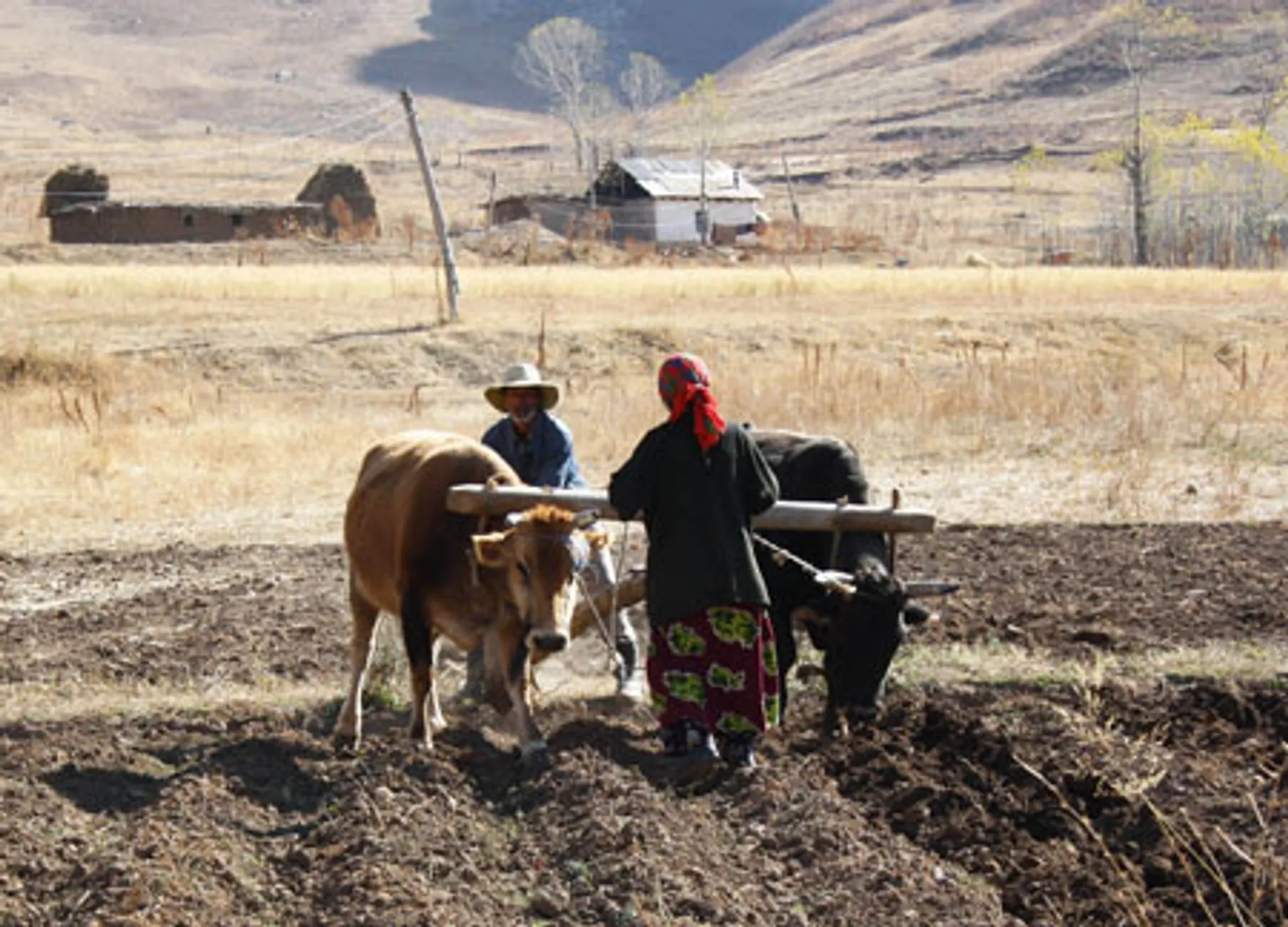 Капитал - АПК: спасти, нельзя убить
