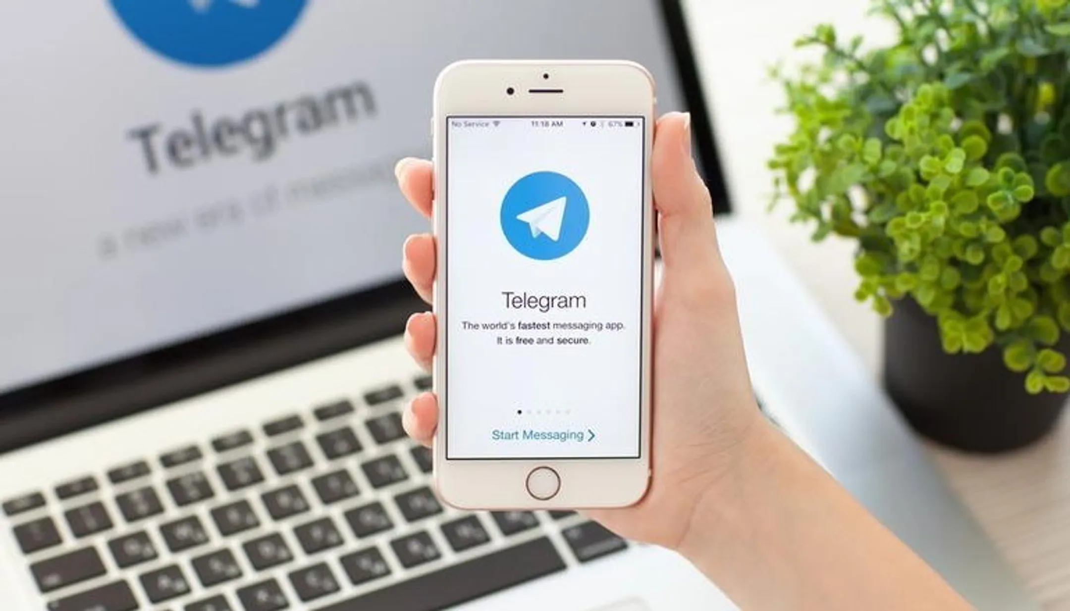За неделю блокировки просмотры Telegram-каналов упали на 76% - Image Kapital.kz