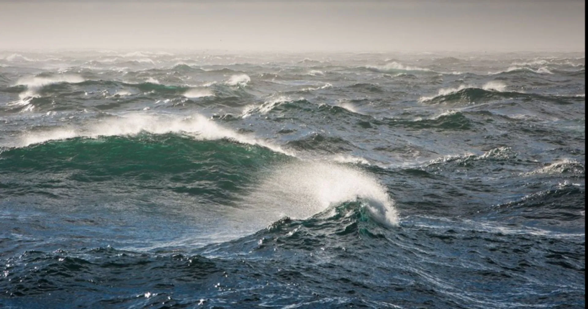 Капитал - Сухогруз потерпел крушение в Черном море