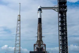 Фото: x.com/SpaceX