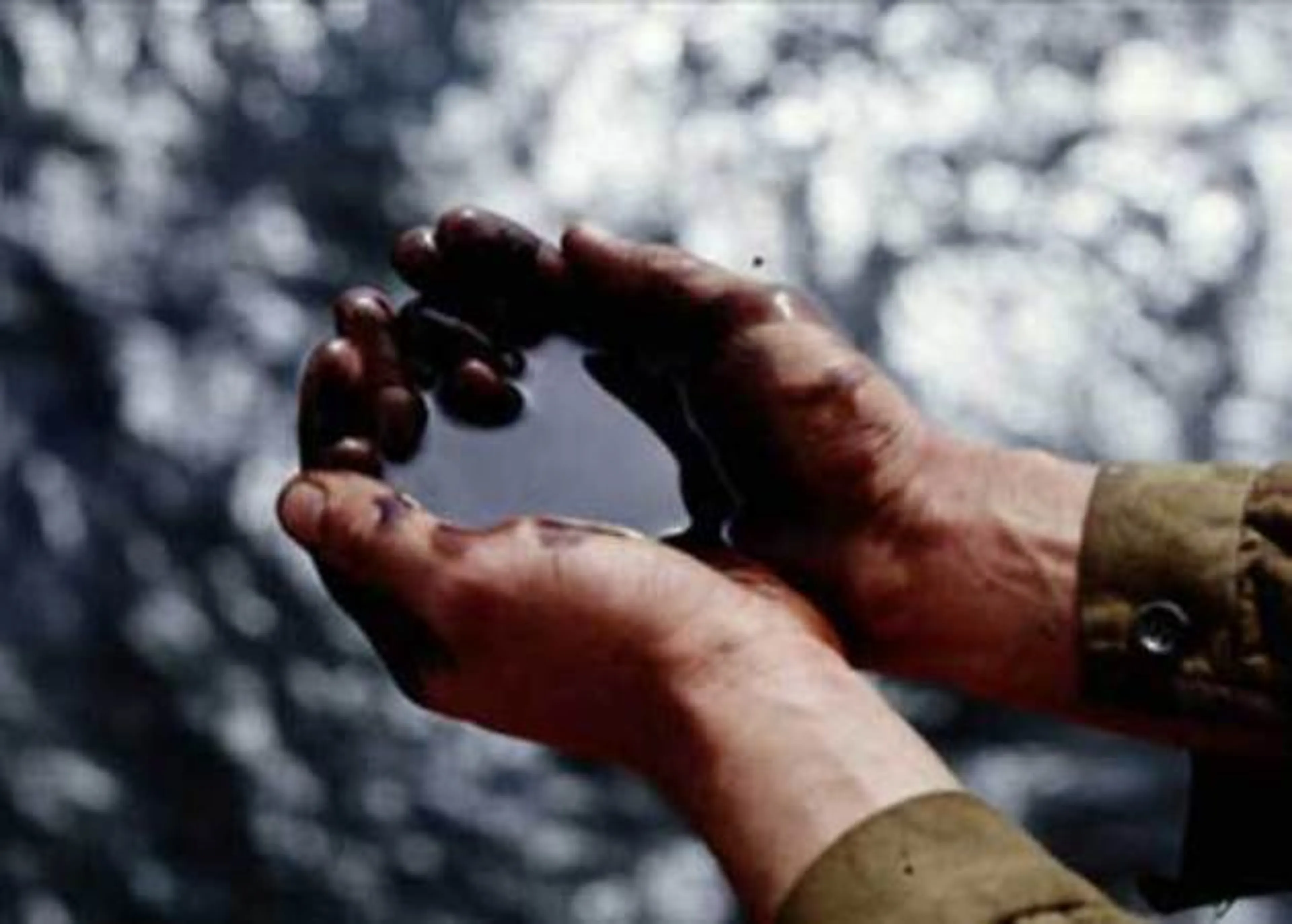 Капитал - РК нужно направлять больше средств для будущих поколений