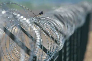 Капитал - Венгрия отгородится от мигрантов забором