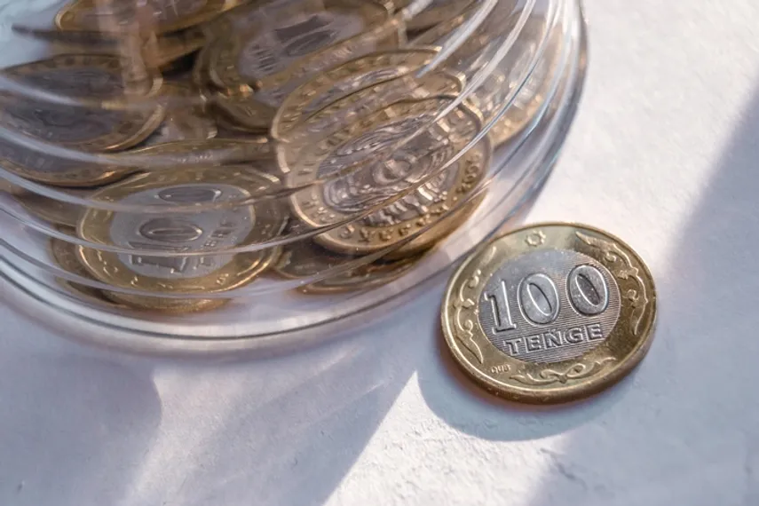 Фото: Валерия Змейкова 