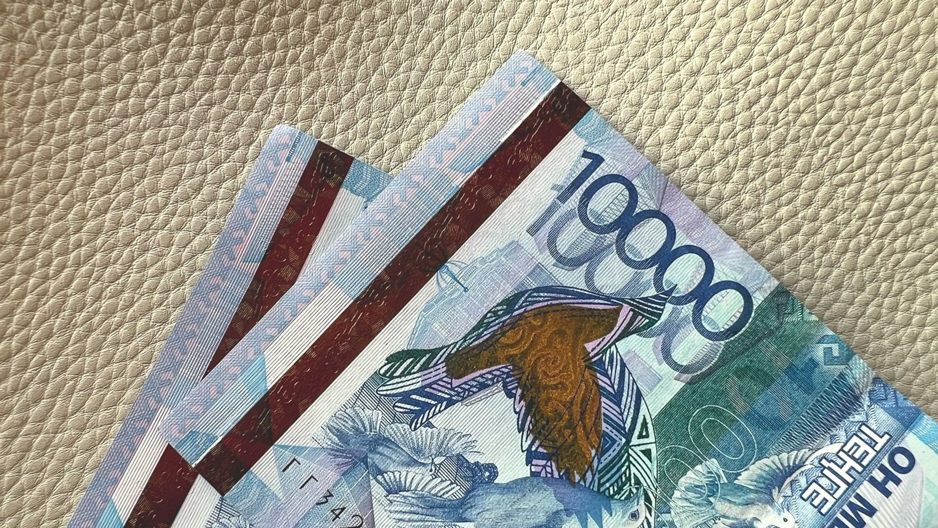 Фото: Валерия Змейкова 