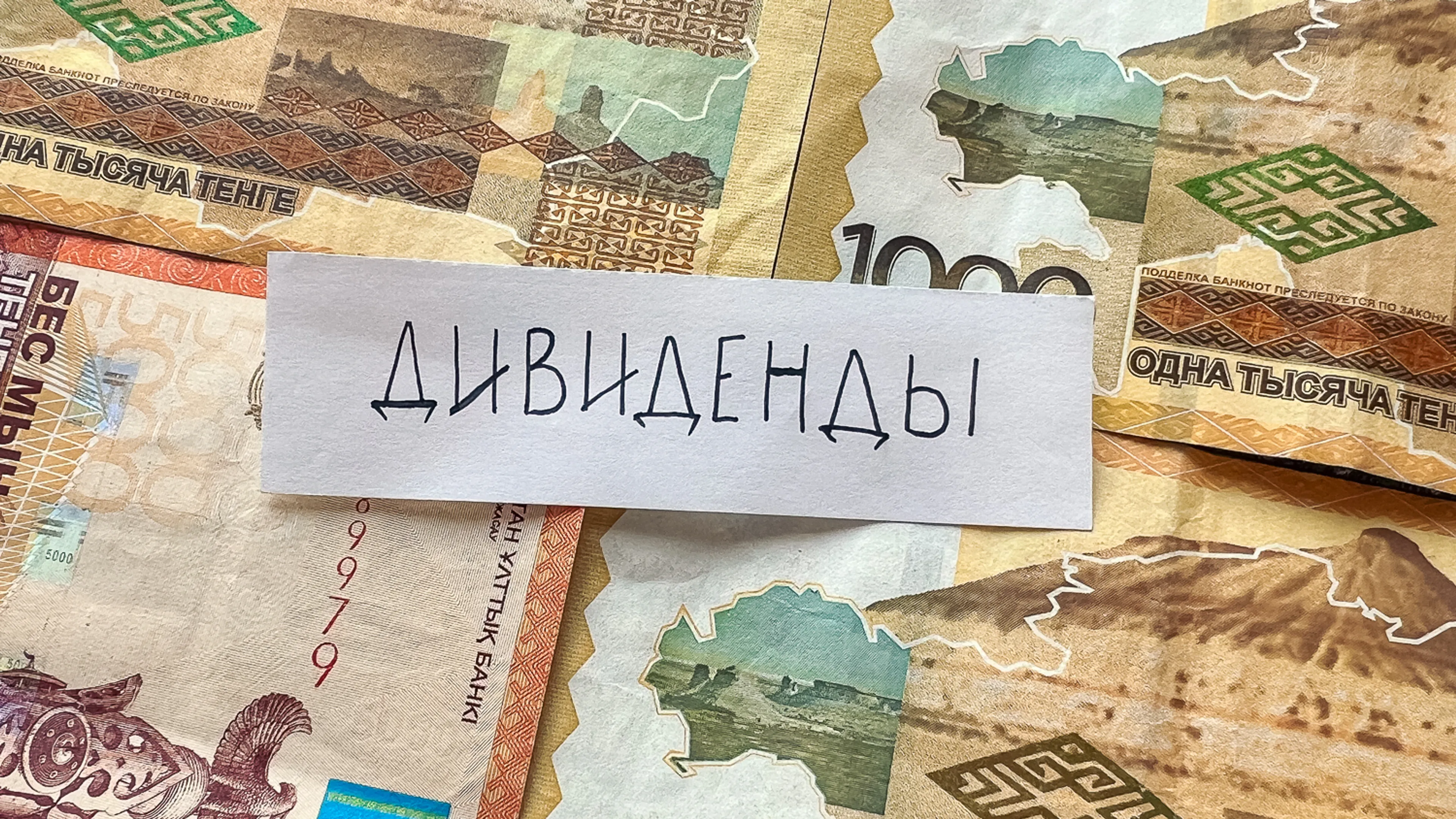 Фото: Валерия Змейкова