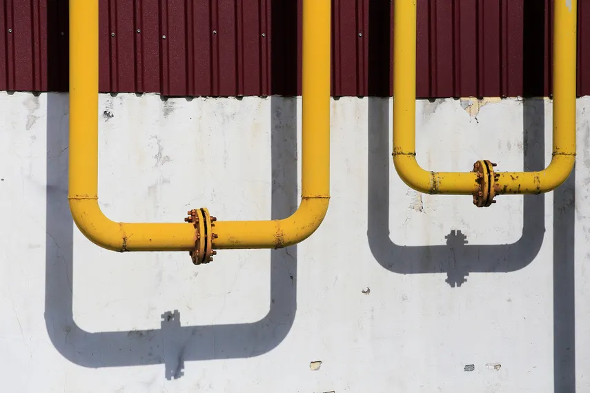 Фото: Руслан Пряников