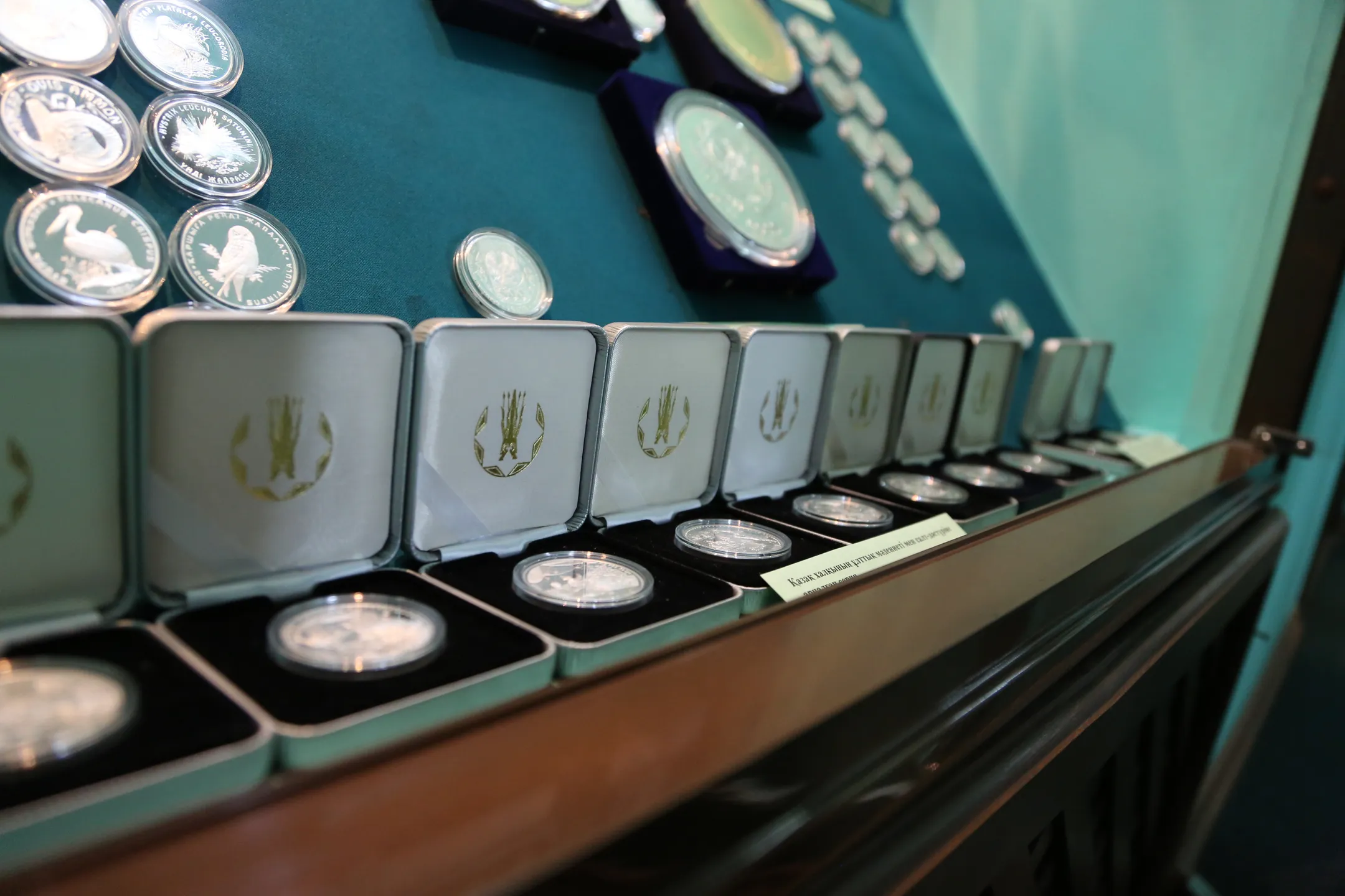 Фото: Меруерт Мулдашева