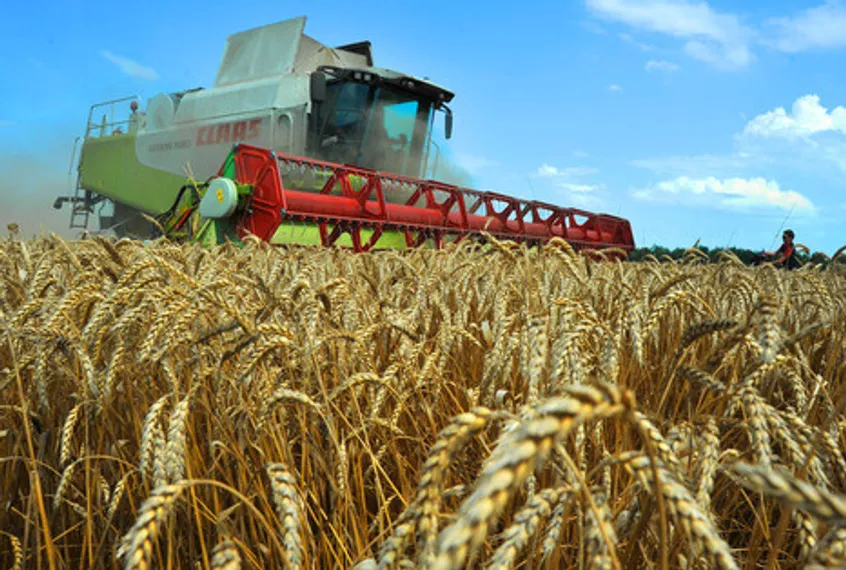 Капитал - Правительство рассматривает оптимизацию субсидий аграриям