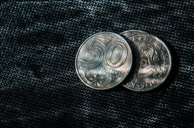 Фото: Валерия Змейкова