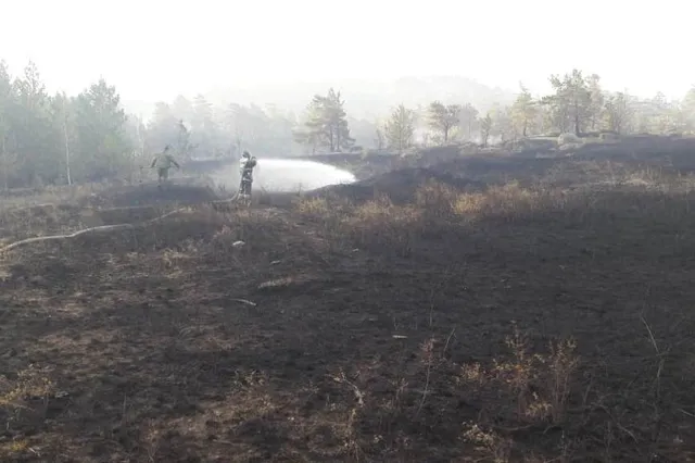 Площадь пожара в Баянауле составляет около 93 га