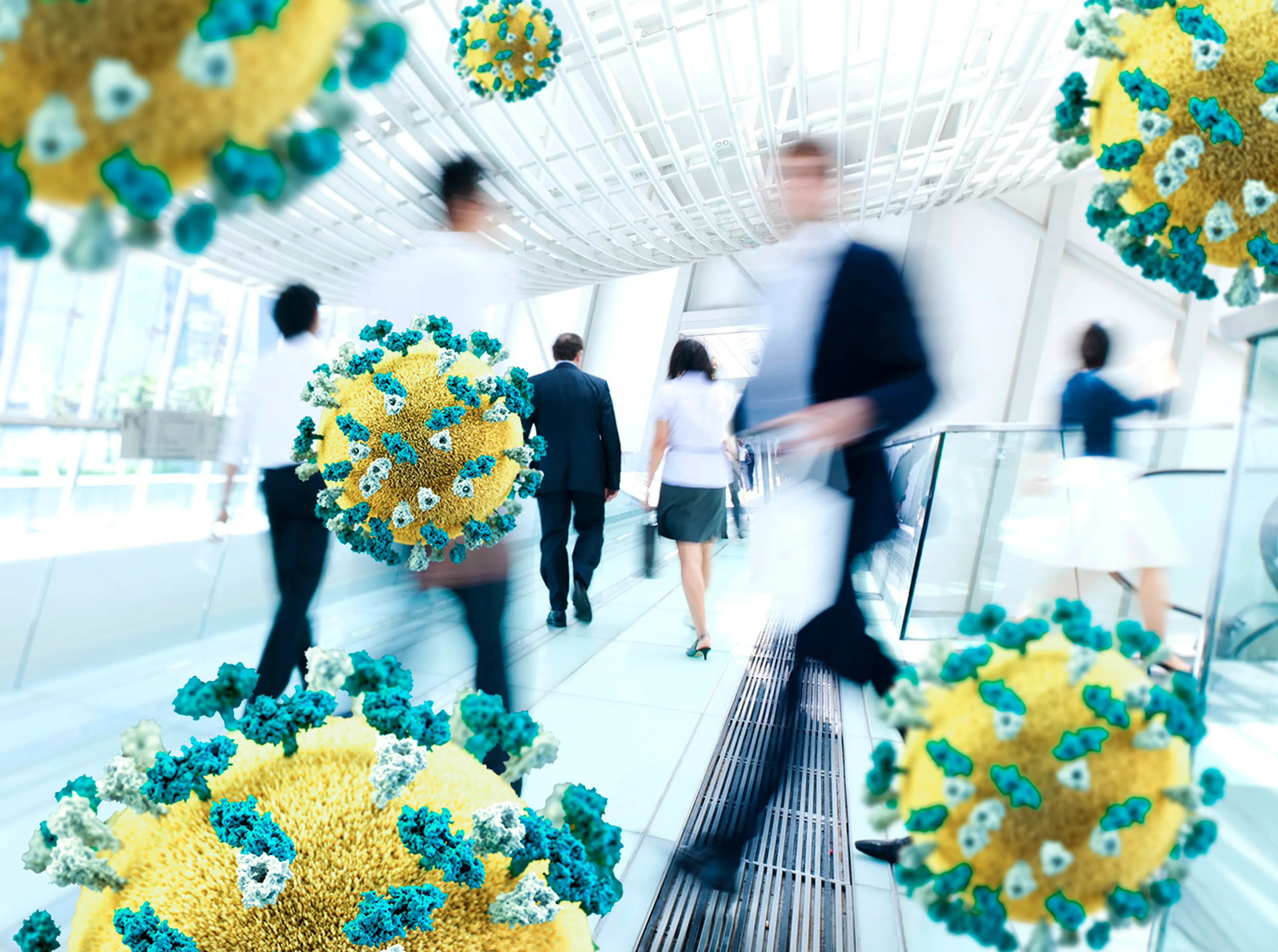 Капитал - Миграция & COVID-19