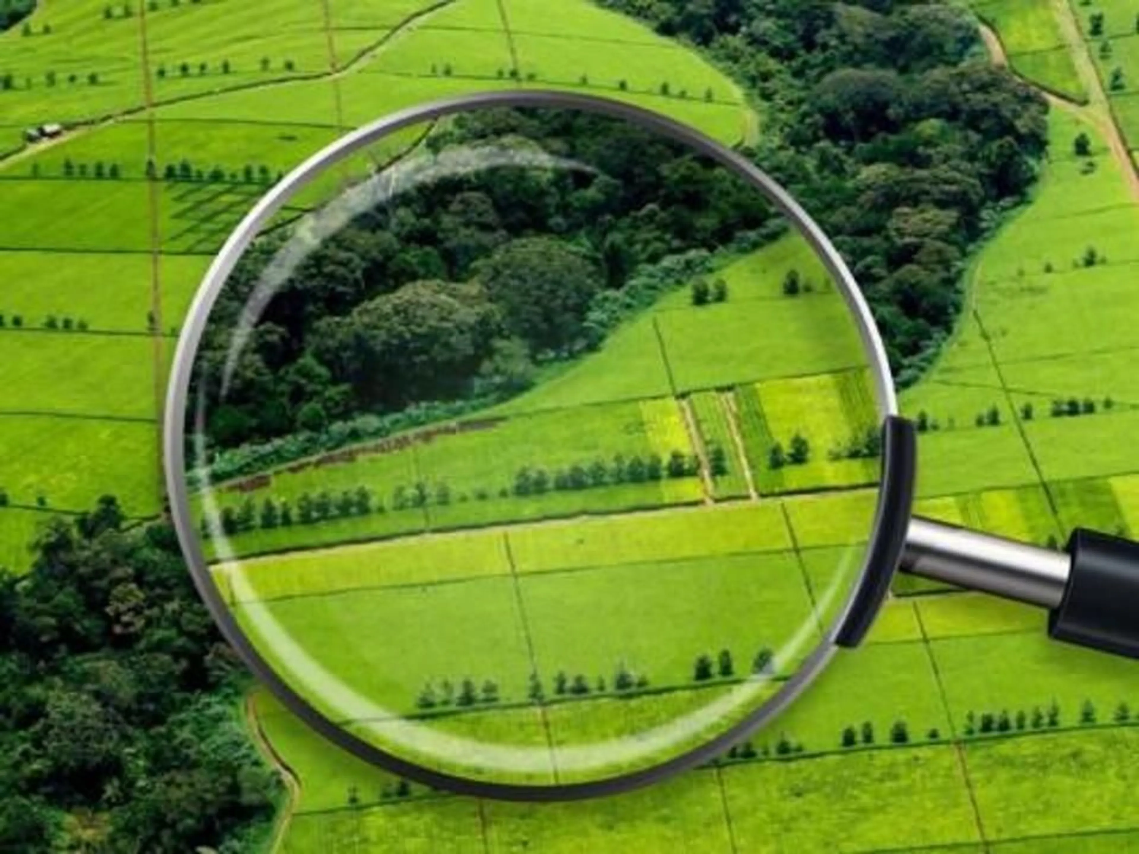 Фото: Комитет по управлению земельными ресурсами РК 