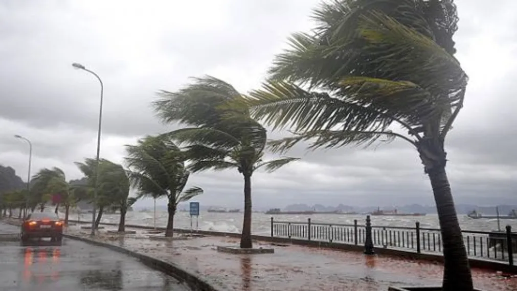 Капитал - В Гонконге более 200 человек пострадали от тайфуна «Мангхут»