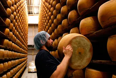 В Голландии подсчитали убытки от санкций