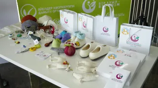 Капитал - Сельчанам помогут создавать антенно-шопы по опыту Японии