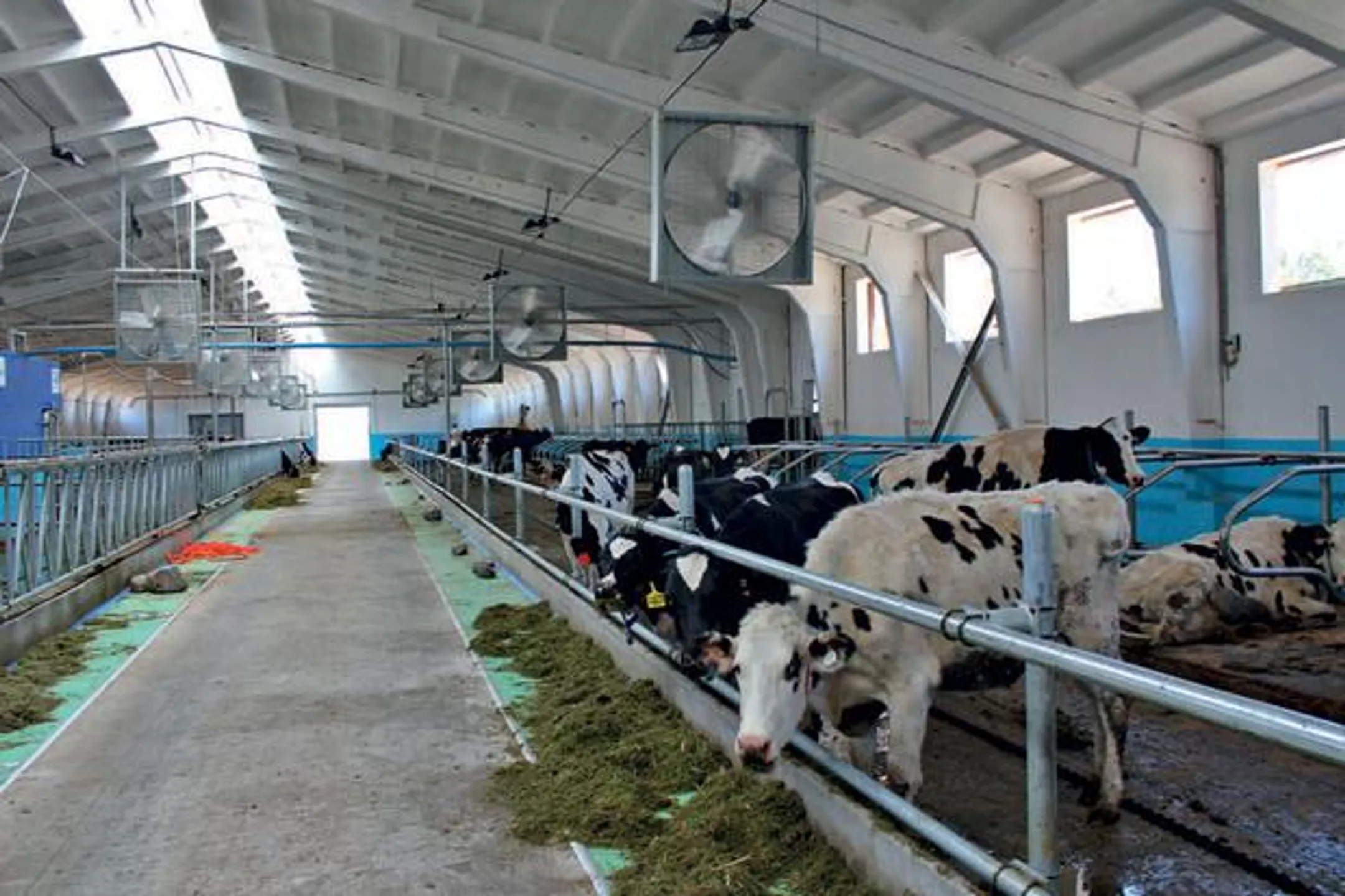 Аграриям необходимо держать тесную связь с наукой - Image Kapital.kz