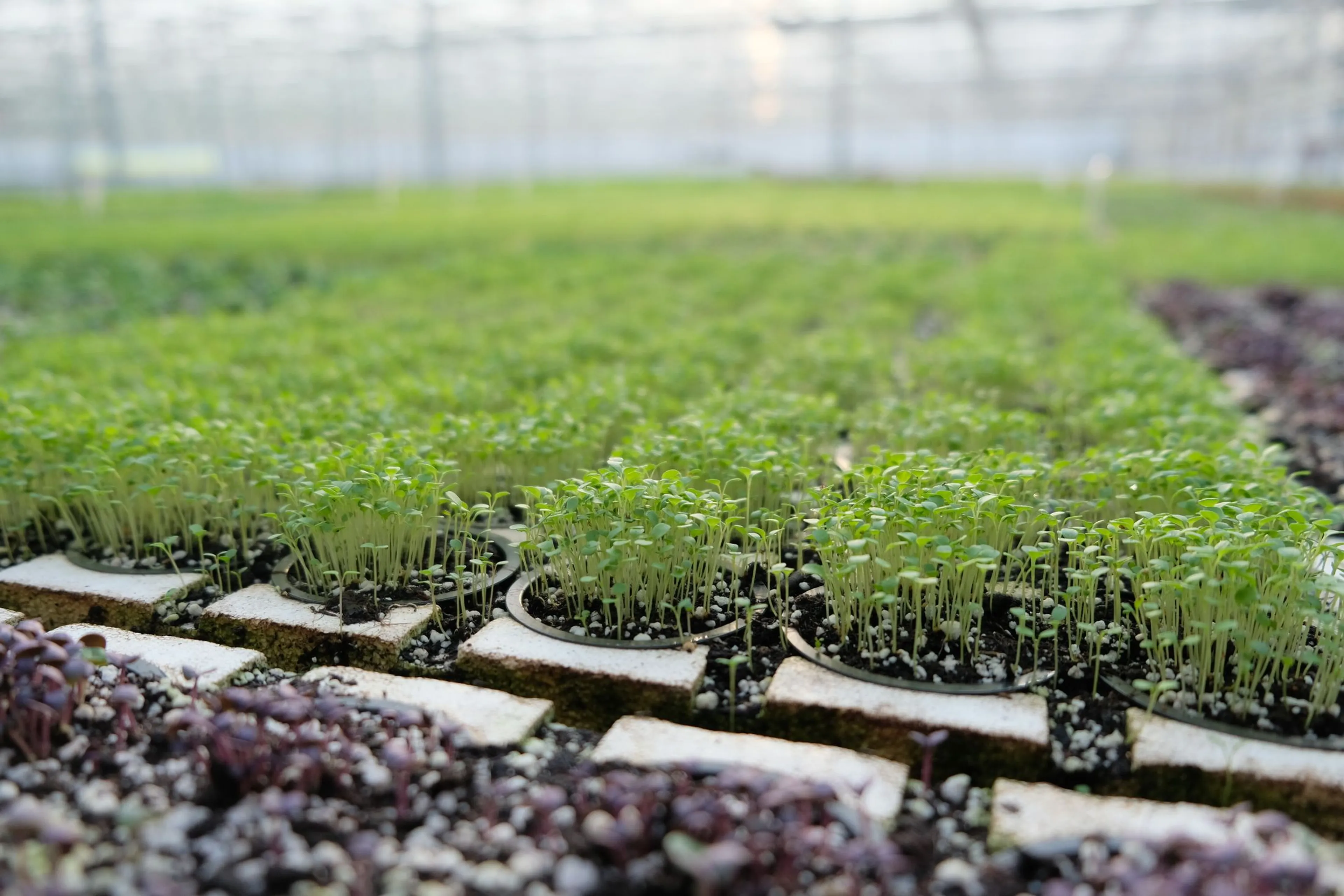 Фото: Владимир Третьяков