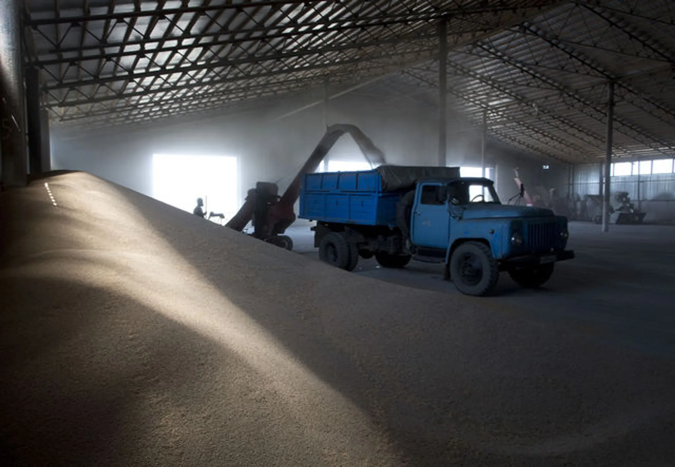 Bloomberg Grain изучает рынок РК - Image Kapital.kz