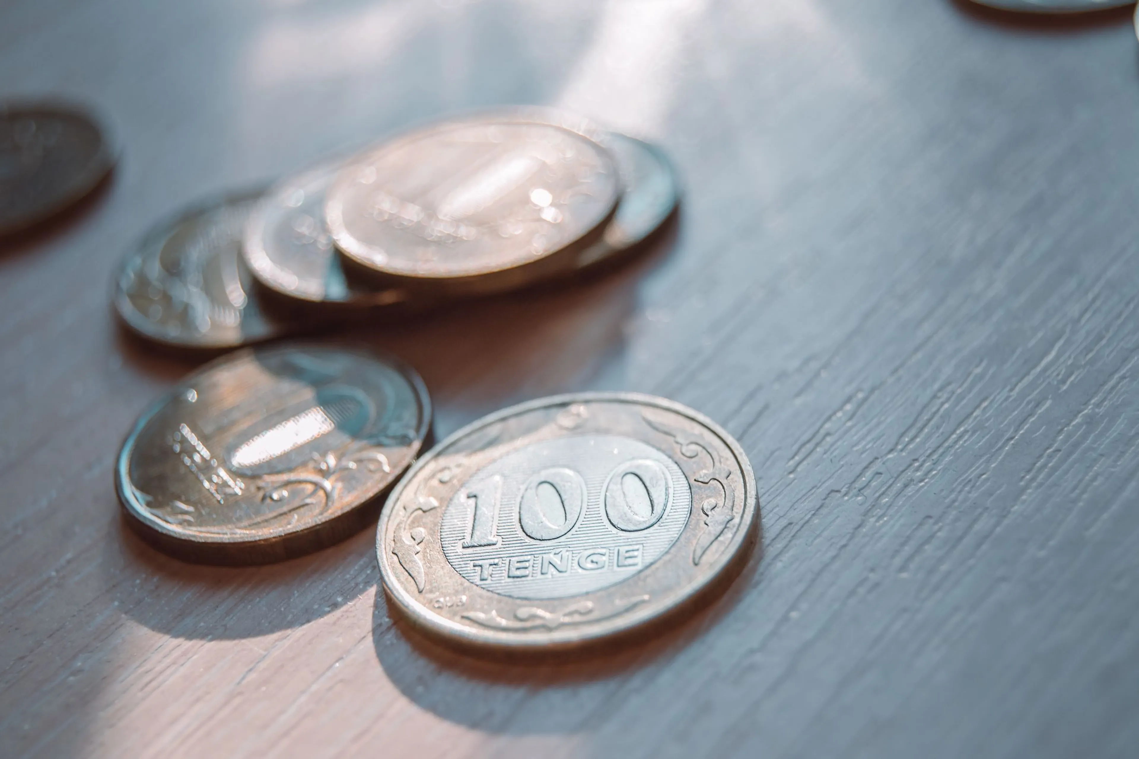 Фото: Валерия Змейкова