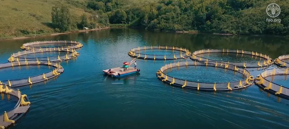 Фото: сайт Комитета рыбного хозяйства 