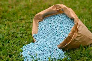 Капитал - В РК будут производить фосфоритную муку