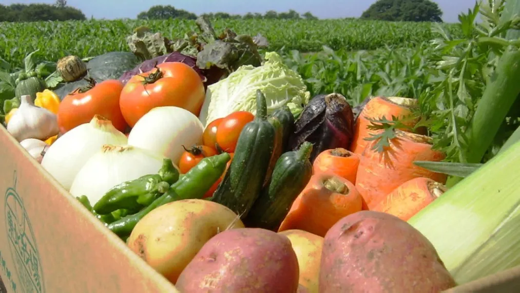 Капитал - Президент поручил в два раза увеличить объем валовой продукции сельского хозяйства