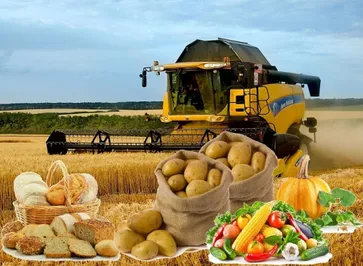 Экспорт сельхозпродукции необходимо увеличить в 2,5 раза