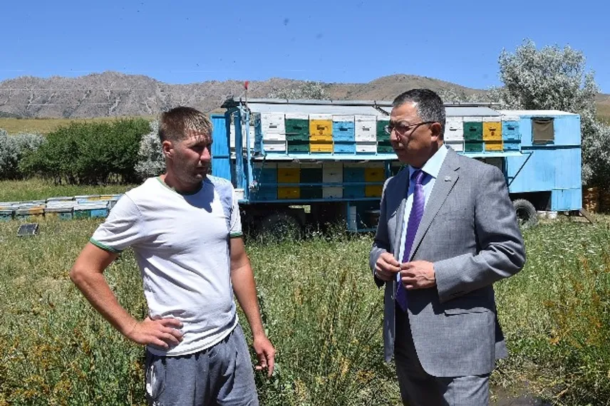 Капитал - В Южно-Казахстанской области создают кооператив пчеловодов