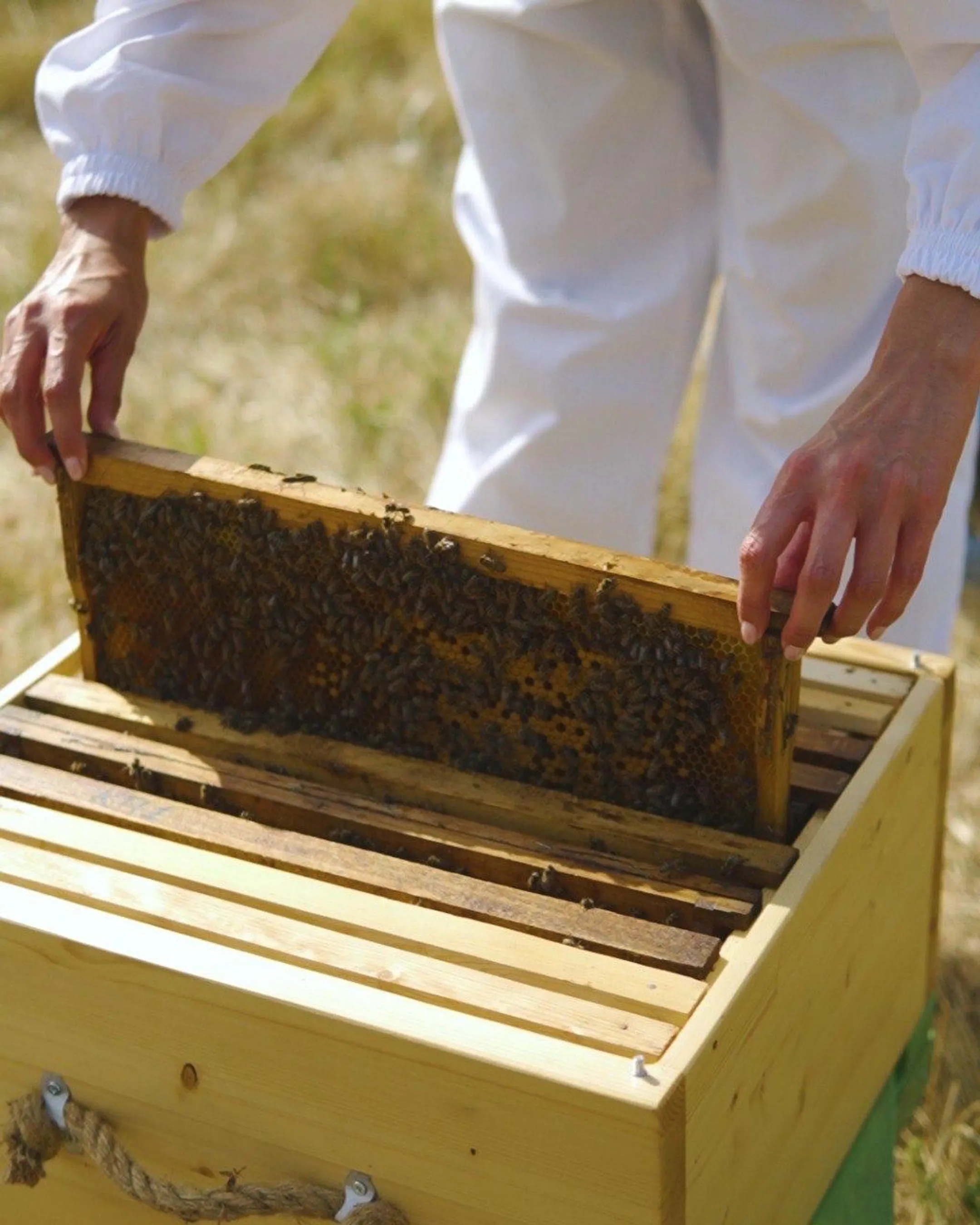 Устойчивое развитие должно быть в приоритете современного бизнеса - Image Kapital.kz