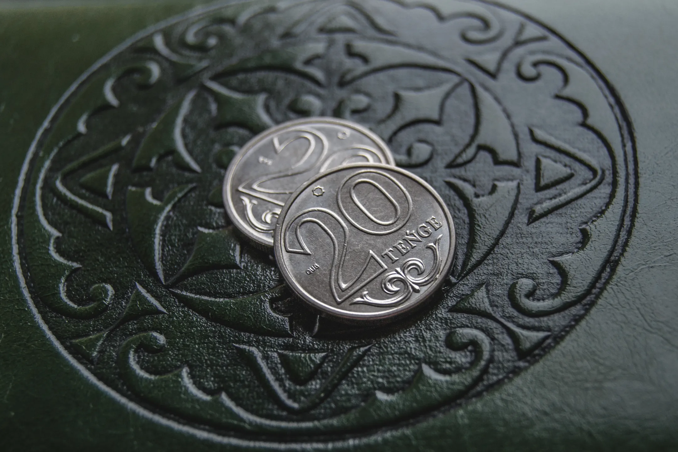 Фото: Валерия Змейкова