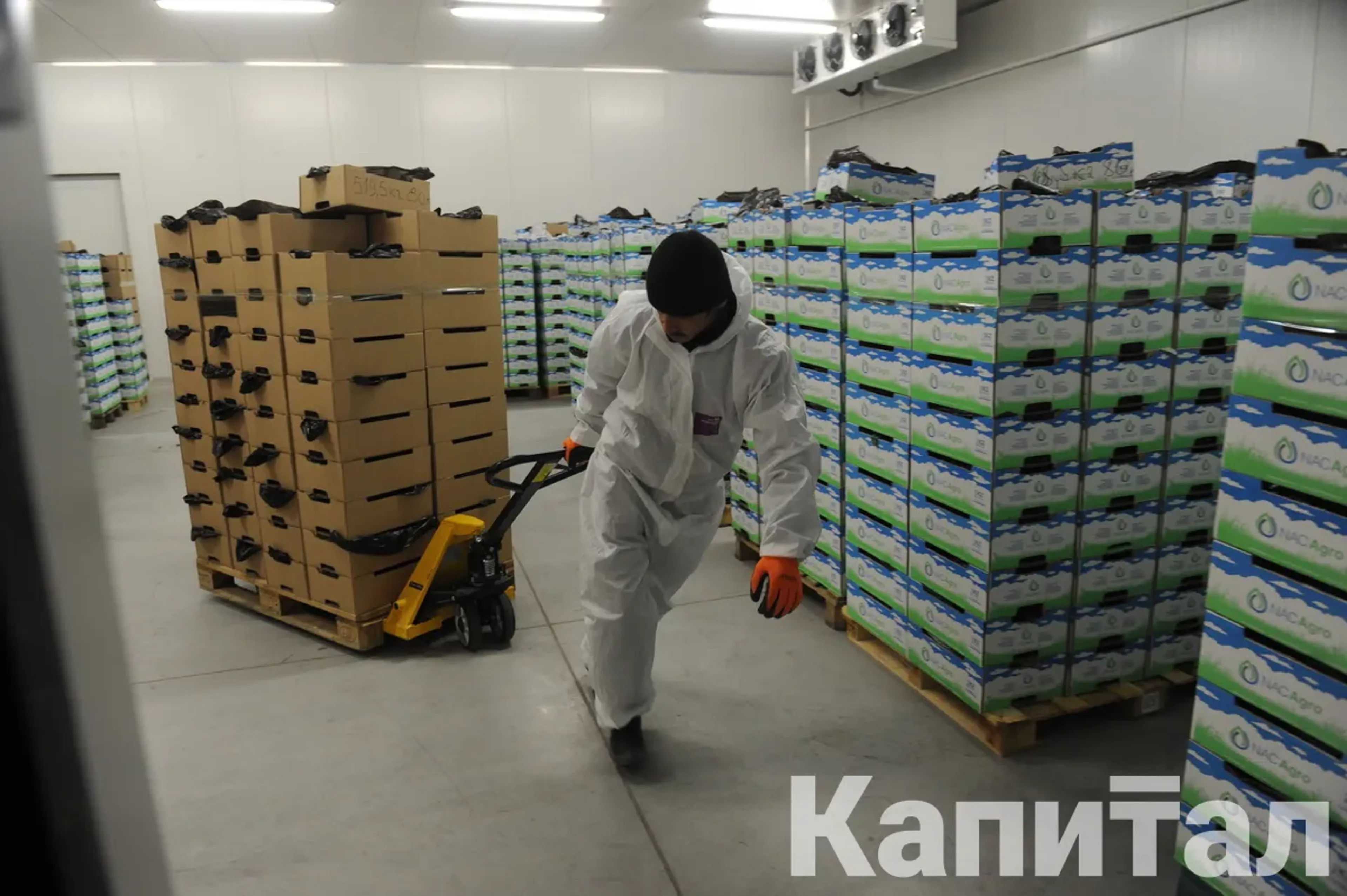 Капитал - Минторговли отказалось от строительства 24 ОРЦ - НПП