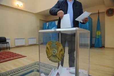 Глава ЦИК Литвы: Недочеты на выборах были оперативно устранены