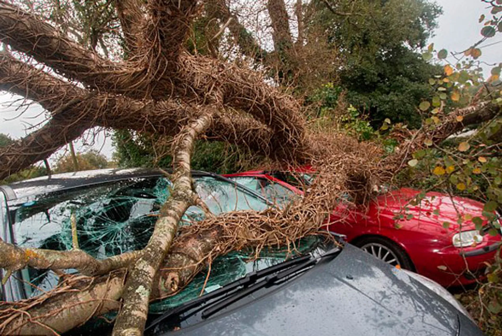 Капитал - Великобритания ждет приближения мощного урагана