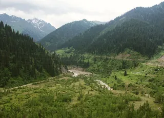 Капитал - По разные стороны «Кокжайлау»