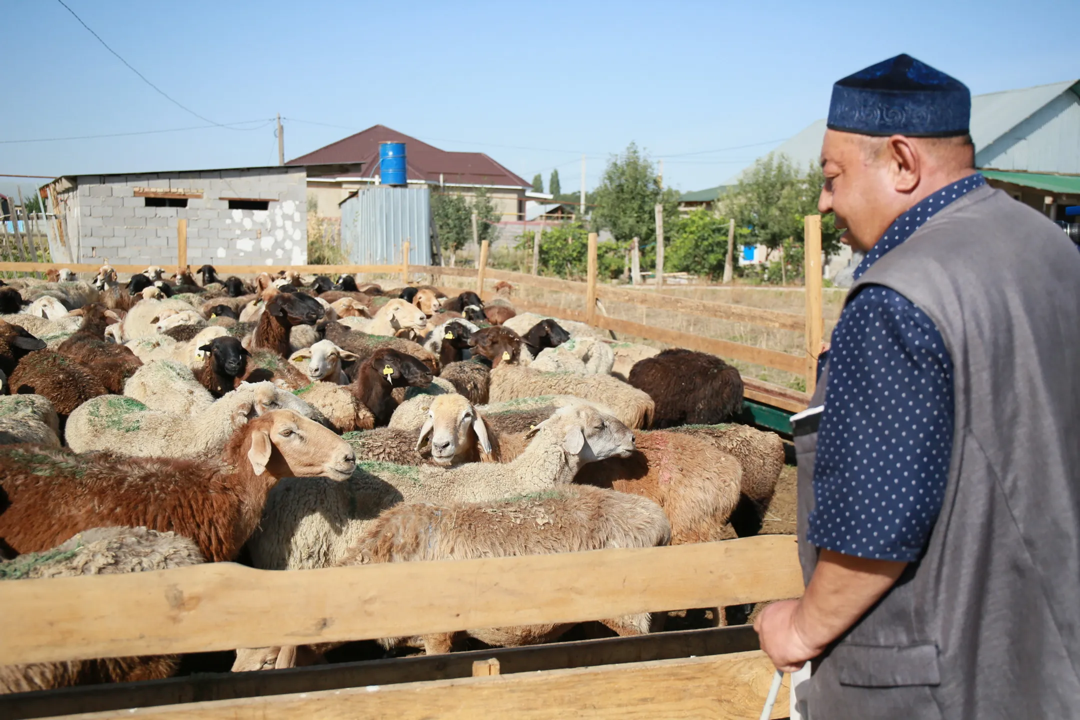 фото: Руслан Пряников