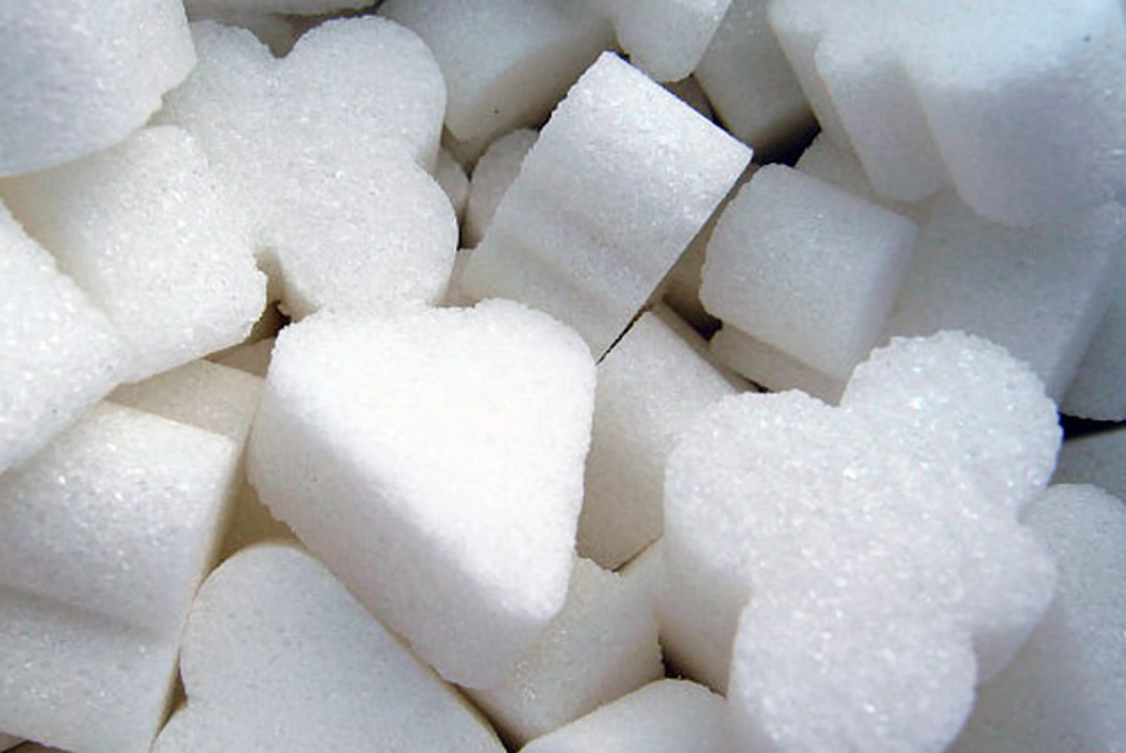 Капитал - Оптовиков в Павлодаре подозревают в сговоре