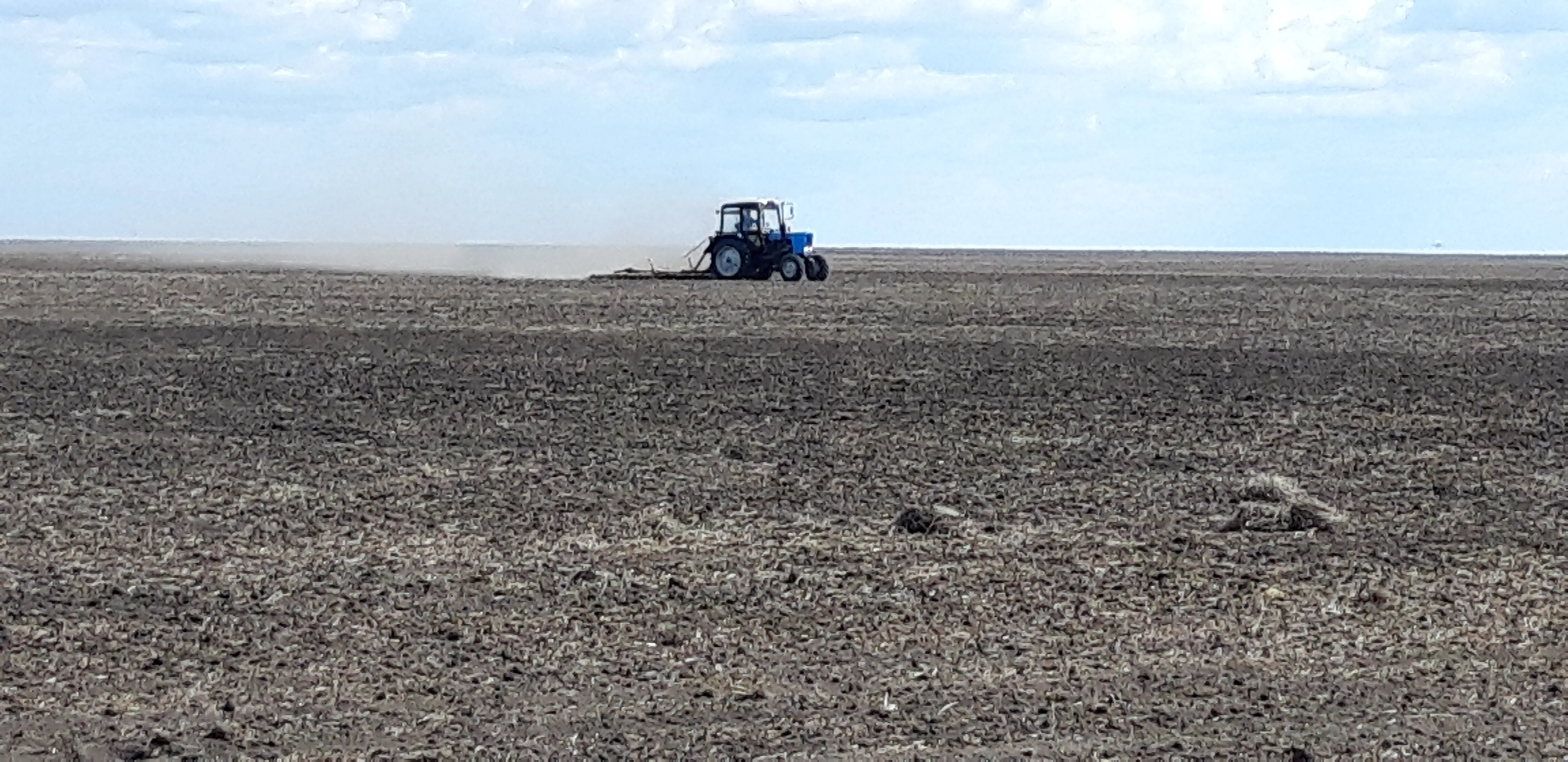 Капитал - Почти 3 млн гектаров на севере Казахстана засеют пшеницей