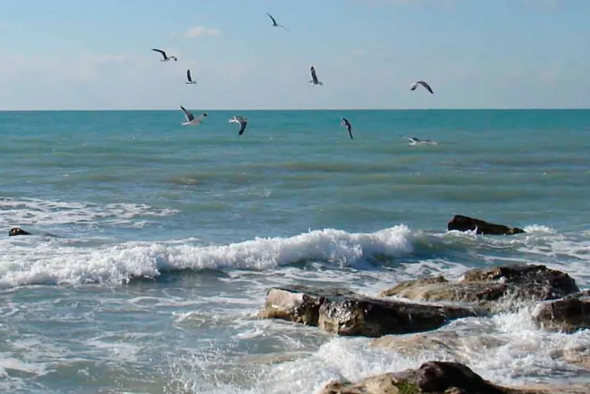 Капитал - Казахстан до сих пор не ратифицировал Актауский протокол