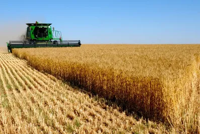 Сокращать штат намерены в КазАгро