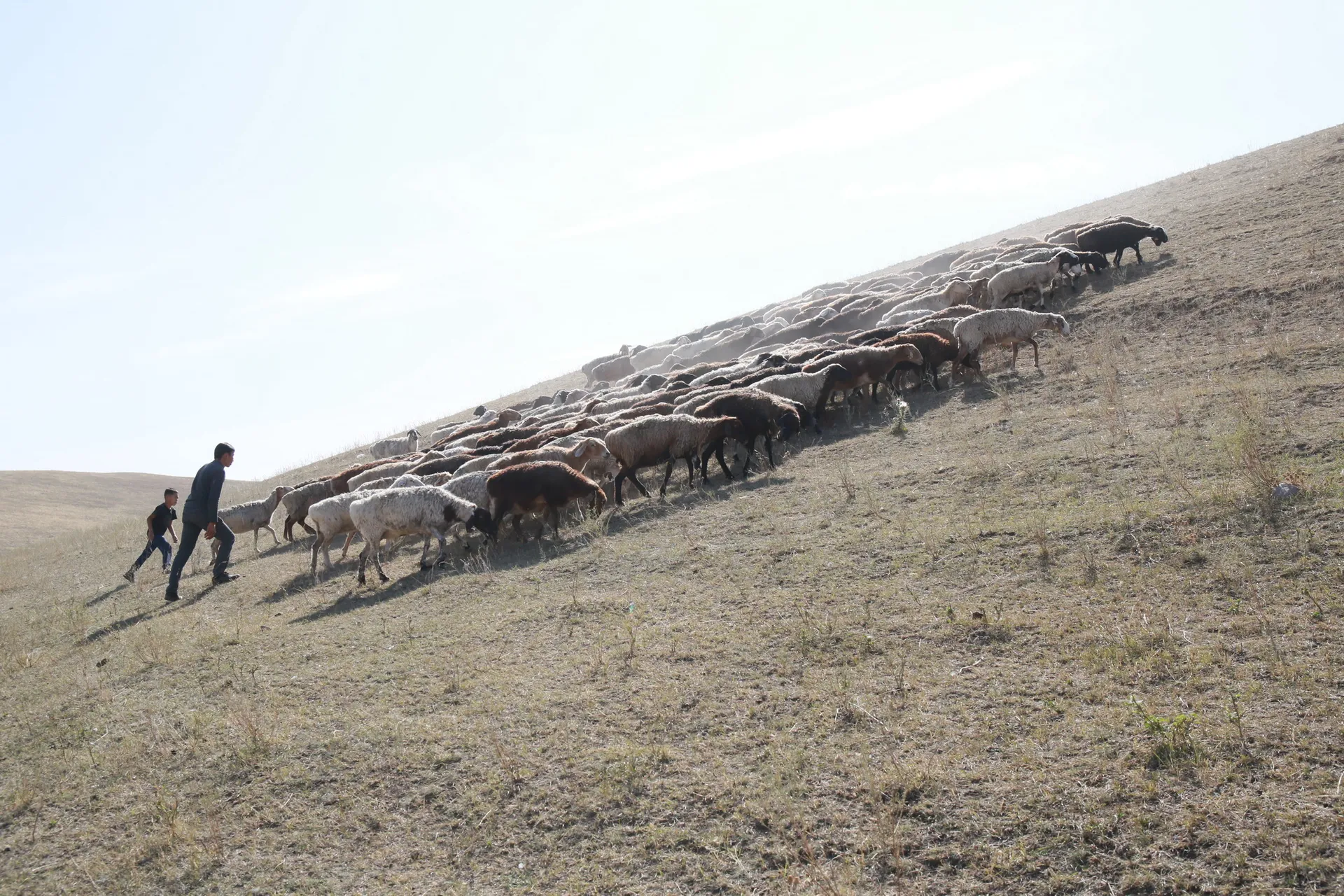 Фото: Руслан Пряников