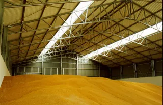 Капитал - Цена на зерно выросла до $280 за тонну