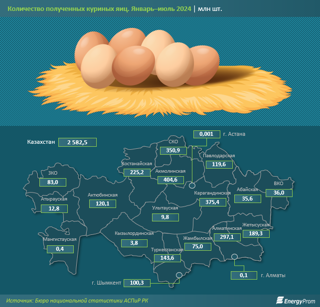 Производство яиц в Казахстане сократилось на 10%  3331086 - Kapital.kz 