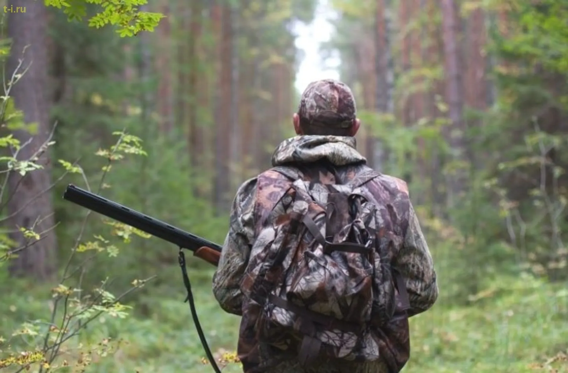 Капитал - Трофейную охоту для иностранцев организовали в Северном Казахстане