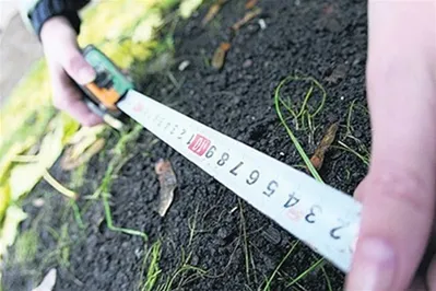 В Алматы выявлено 35 фактов самозахвата земли