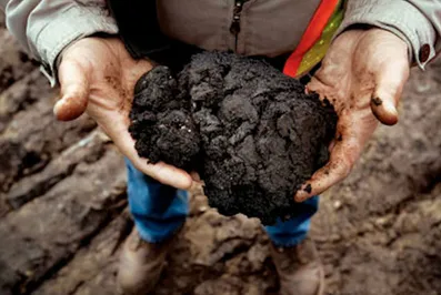 Сланцевая революция захлебнется в ближайшие 10 лет