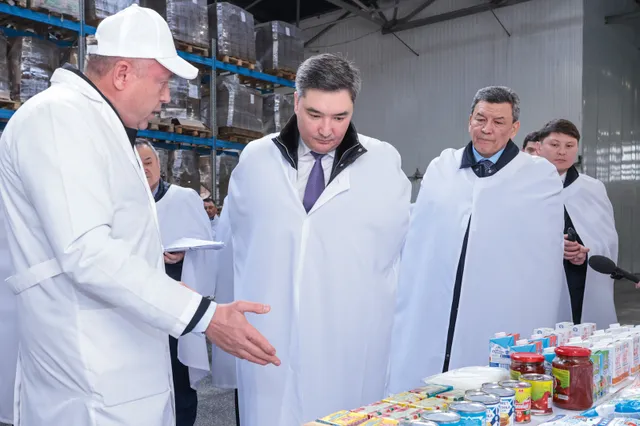 primeminister.kz